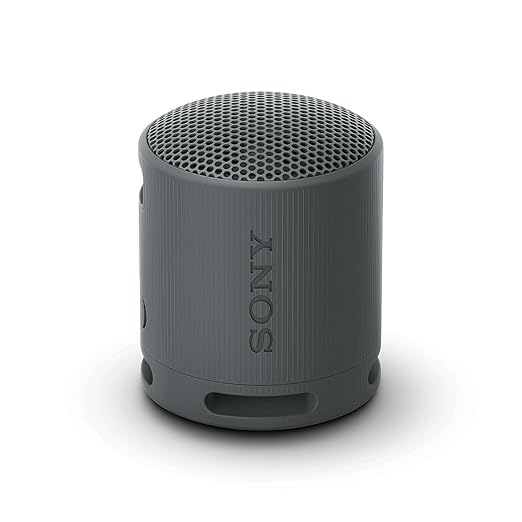 Sony SRS-XG100 Speaker