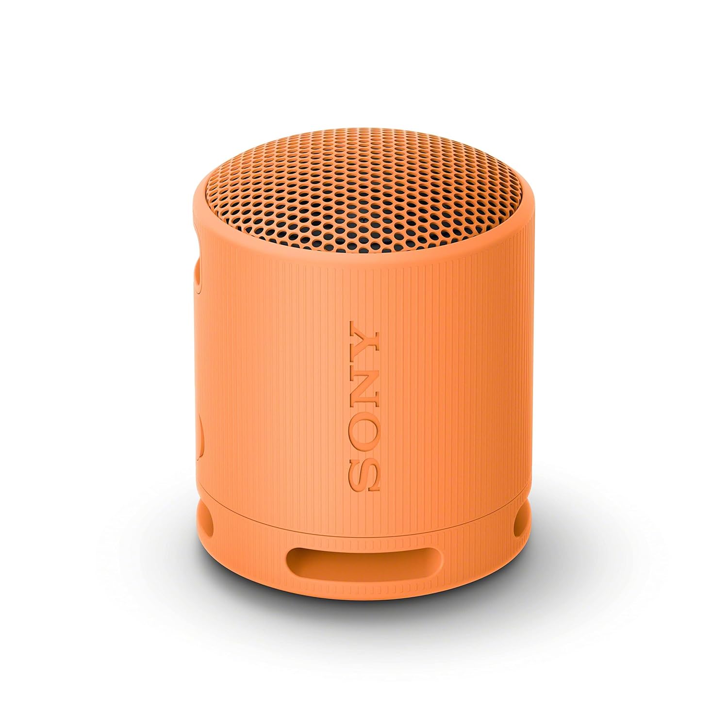 Sony SRS-XE200 Speaker