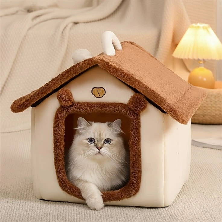Cats